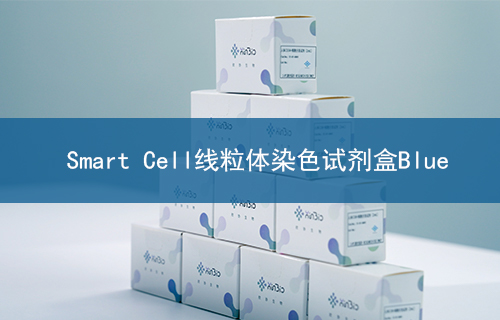 Smart Cell线粒体染色试剂盒Blue